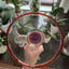 Small image 6
