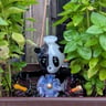 Small image 5