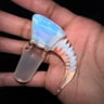 Small image 3