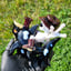 Small image 7