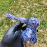 Small image 0