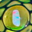 Small image 7