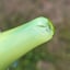 Small image 7