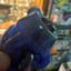 Small image 4