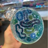 Small image 6