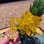 Small image 9