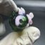 Small image 7