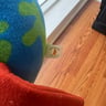 Small image 4