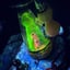 Small image 9