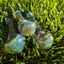 Small image 8