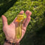 Small image 2