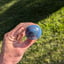 Small image 5