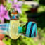 Small image 8