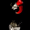 Small image 6
