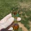Small image 3