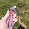 Small image 1