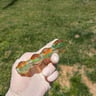Small image 2