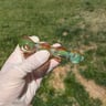 Small image 3
