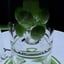 Small image 6