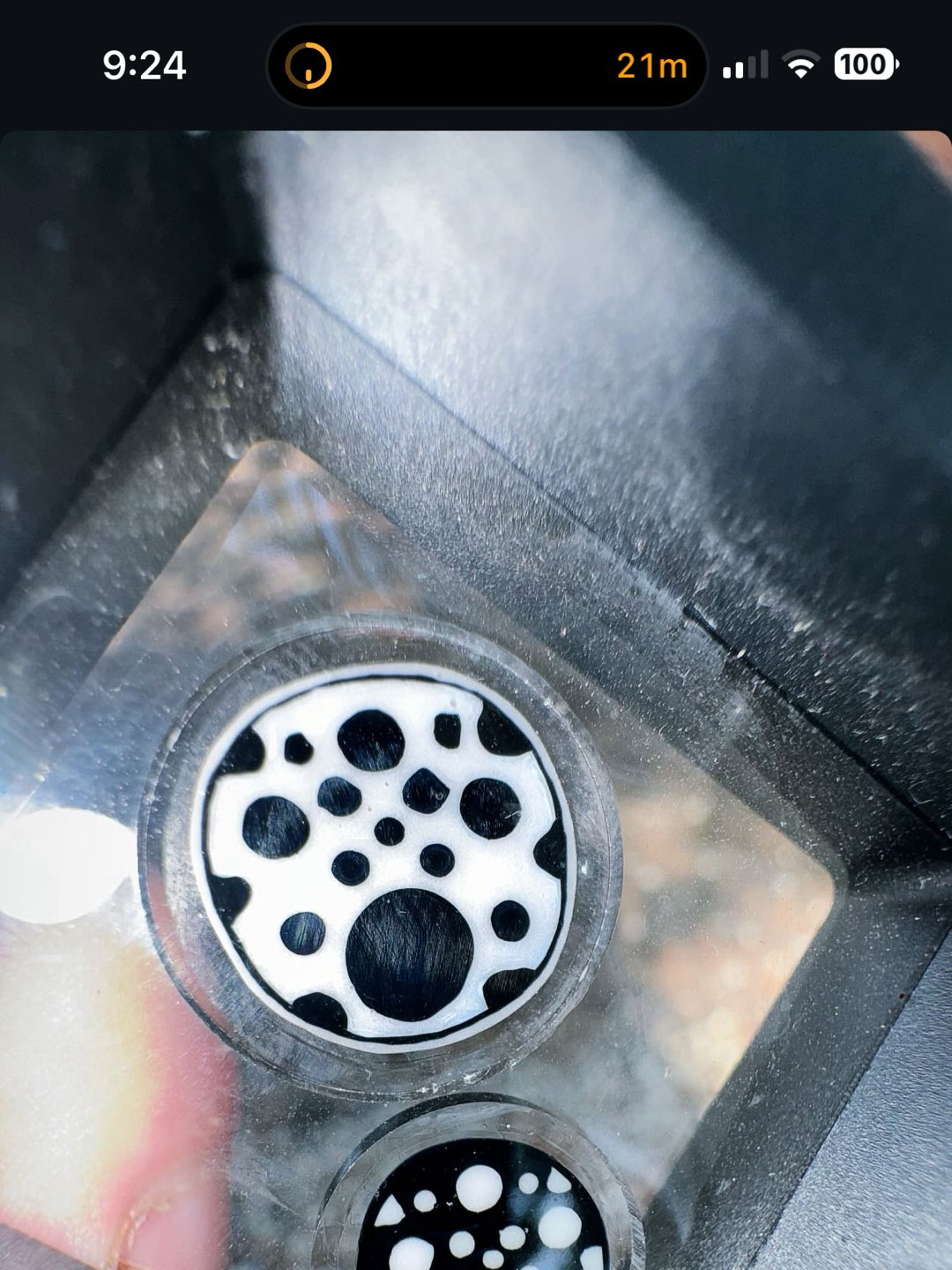 Preview pic of swiss perc