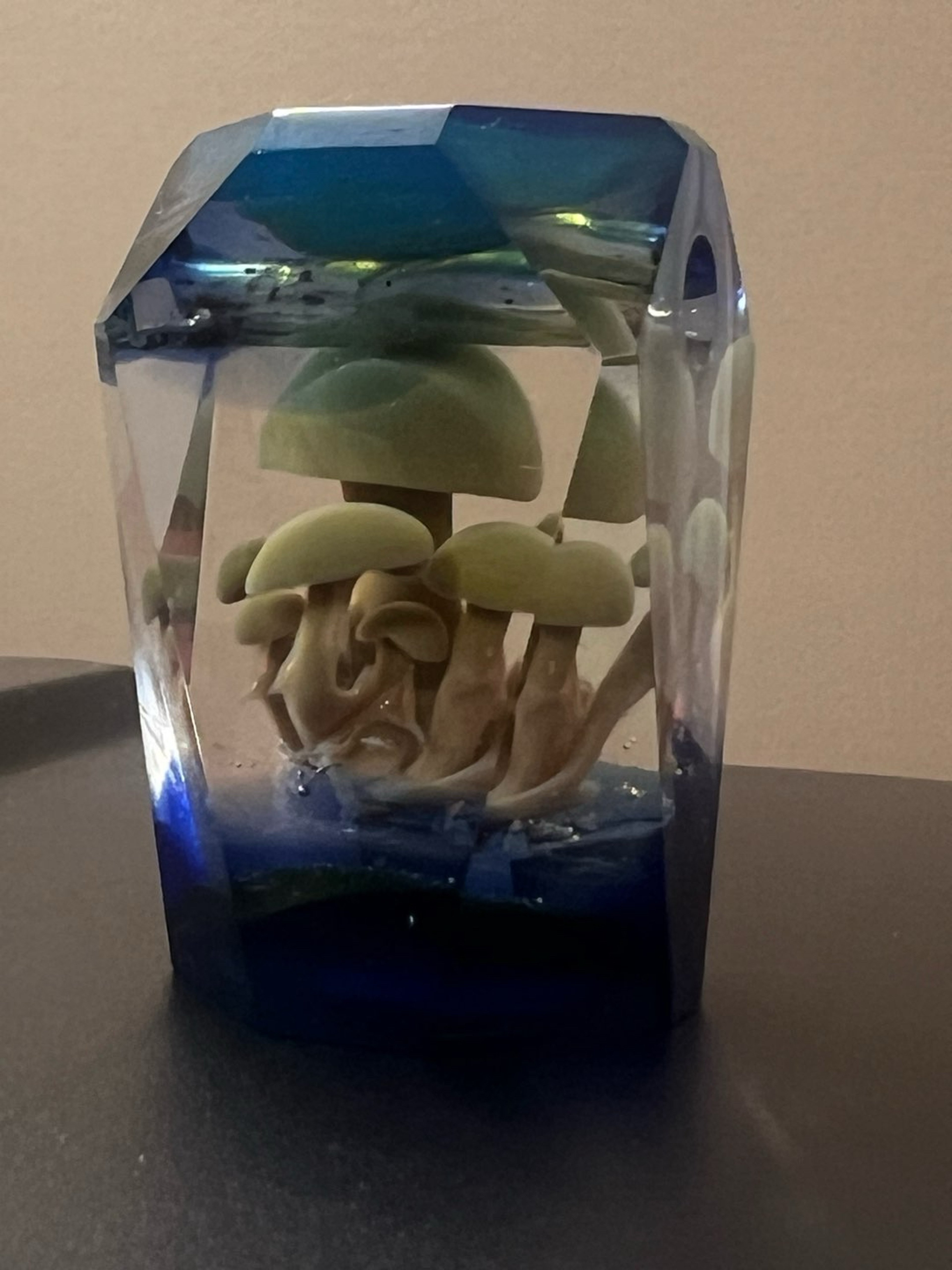 Preview pic of Large faceted Jes Durfee mushroom pendant