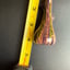 Small image 6