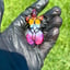 Small image 5