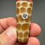 Small image 5