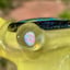 Small image 7