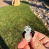 Small image 4