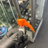 Small image 0