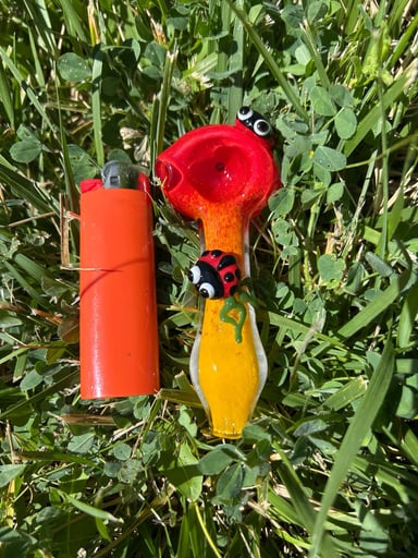 Preview pic of Ladybugs