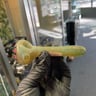 Small image 3