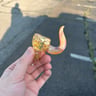 Small image 4