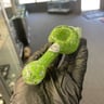 Small image 5