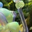 Small image 7