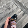 Small image 2