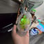 Small image 5