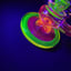 Small image 9
