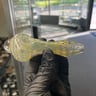 Small image 3