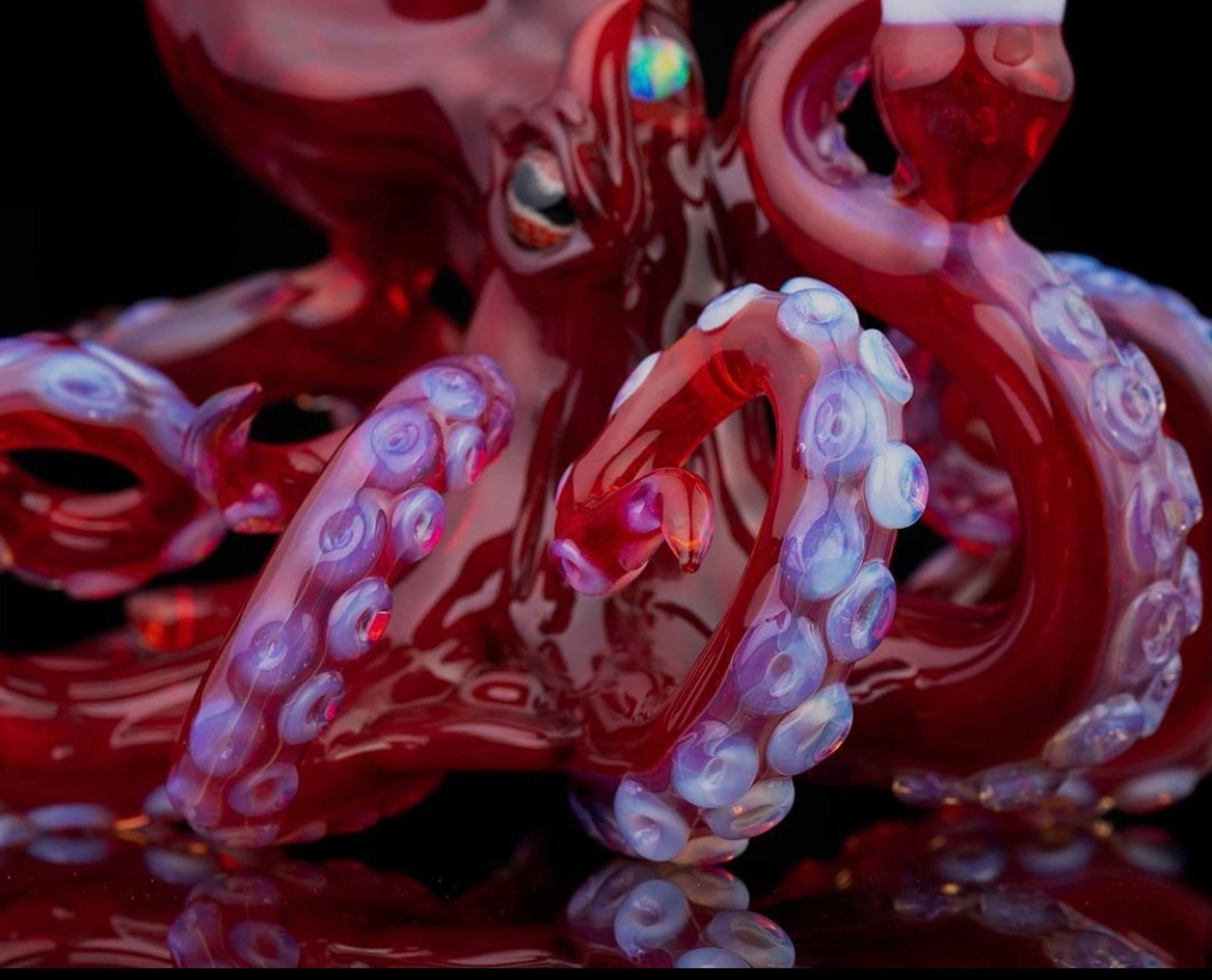 Mako octopus image 0