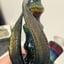 Small image 5