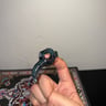 Small image 4