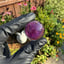Small image 7