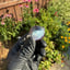 Small image 9