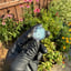 Small image 8