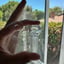 Small image 7
