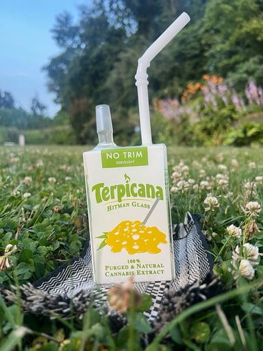 Preview pic of Hitman Juicebox Terpicana