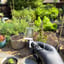 Small image 5