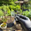 Small image 6